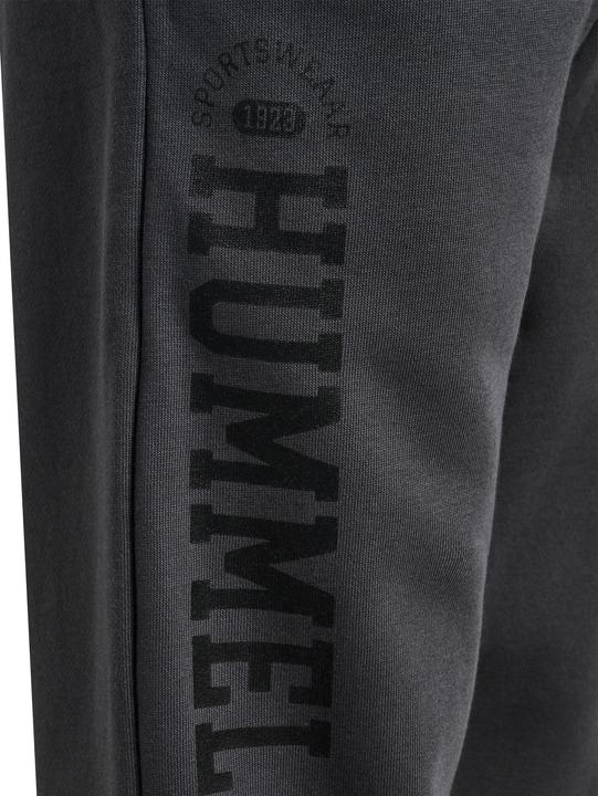 Image du produit hummel hmlALVIN PANTS (104)