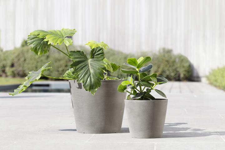 Actual product image Ecopots Amsterdam (40 cm)