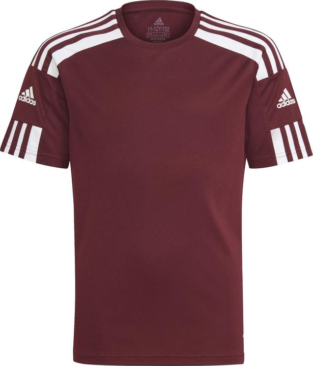 adidas Squadra 21 Trikot Kinder (176)