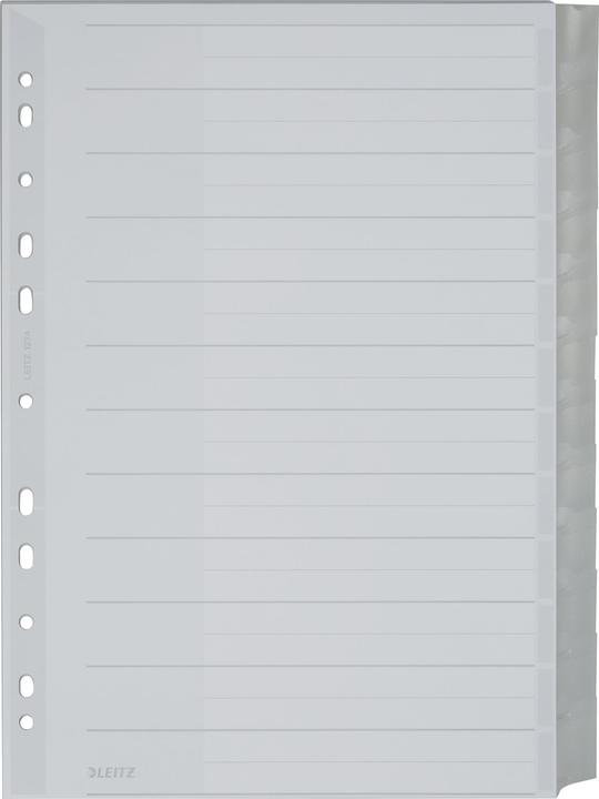 Actual product image Leitz Register PP