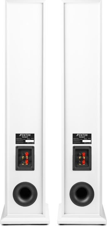 Actual product image Fenton SHF80W (1 pair, 250 W)