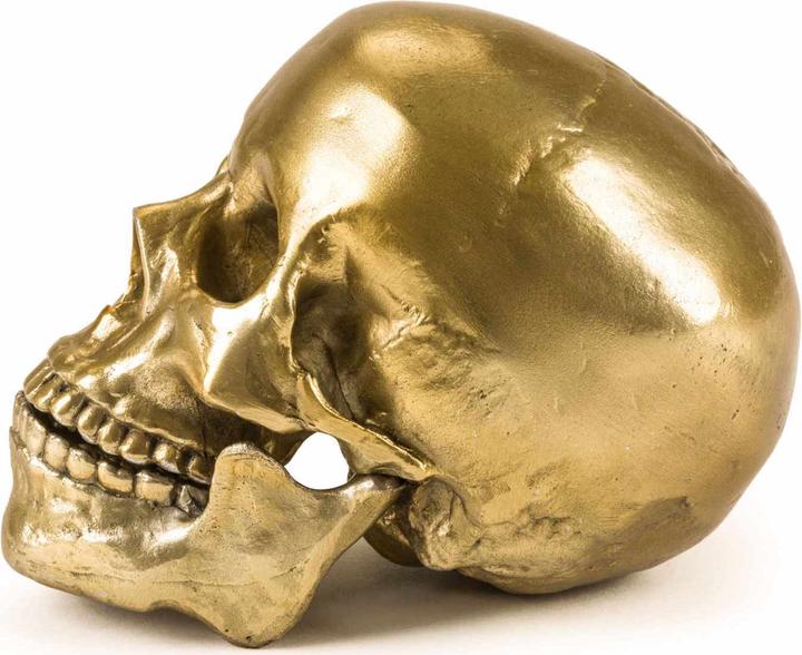 Produktbild Diesel Living with Seletti Human Skull Culture Skulture - Wunderkammer Skulptur