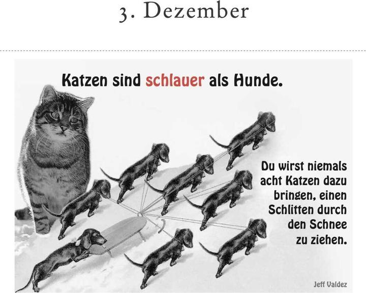 Image du produit Le chat littéraire