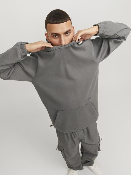 Actual product image Jack & Jones Jcoaltitude Sweat Hood Sn (S)