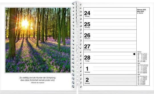 Actual product image Moods photo calendar set of 2 2025 (17 x 20 cm, German)