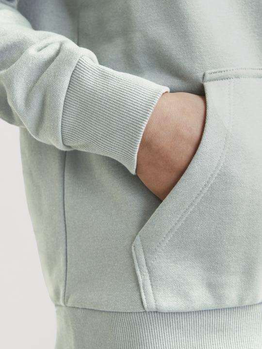 Produktbild Jack & Jones Jjecaleb Varsity Sweat Hood Noos Jnr (128)