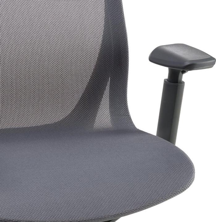 Actual product image Johann Jakob Aria