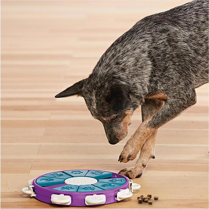 Actual product image Nina Ottosson Dog Twister (Intelligence toy dog)