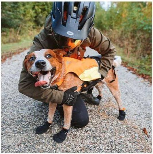 Actual product image Non-Stop Dogwear Protector Booties (S, Dog boots)