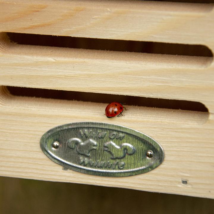 Actual product image Esschert Design Ladybird house (Ladybirds)