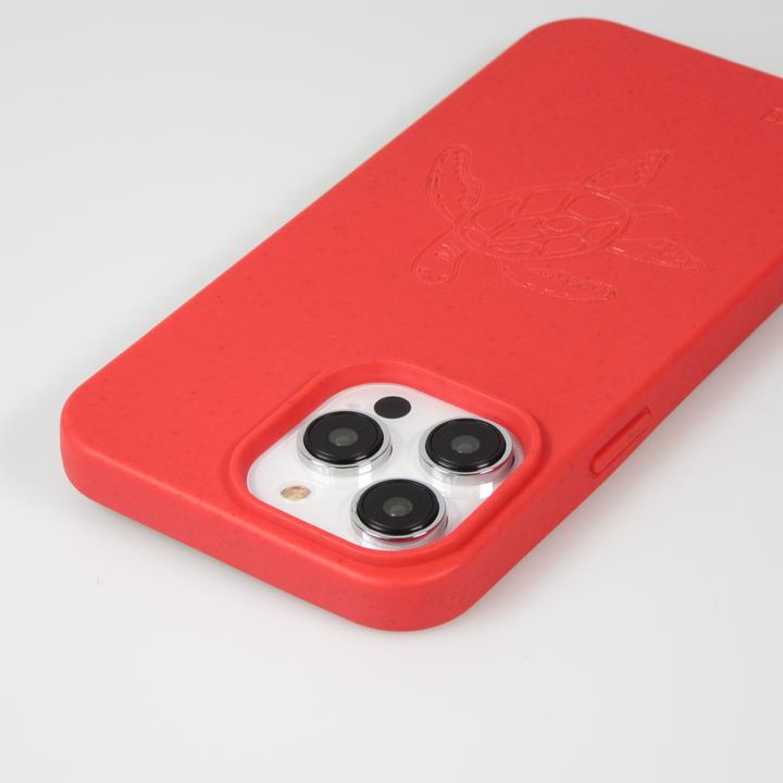 Immagine prodotto Bioka Cocco biodegradabile e compostabile Eco-Friendly Esprit de la tortue (Apple iPhone 14 Pro Max)