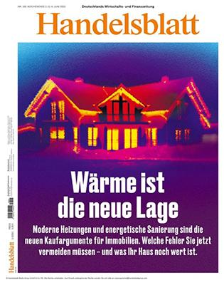 Actual product image Handelsblatt (12 months, Physical)