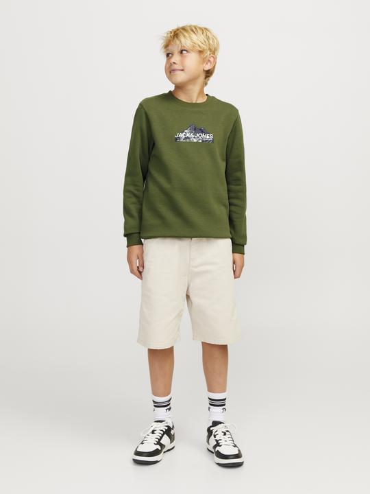 Actual product image Jack & Jones Jcomountain Logo Sweat Crew Neck Sn Jnr (164)