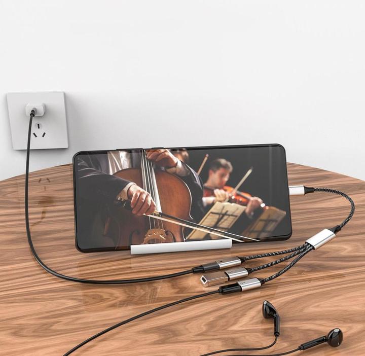 Immagine prodotto Apfelkiste USB C auf 3x USB C Adapter Ladekabel OTG Nylon Datenkabel 60W (USB-C, 4 Porti)