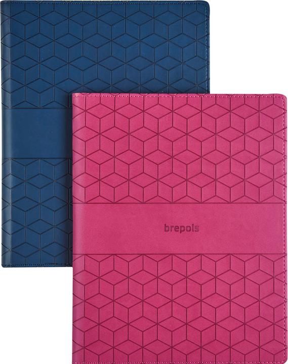 Brepols Agenda Timing Cube 2025 26.3.1482 1W/2S ass. ML 17x22cm (17 x 22 cm, Dutch)