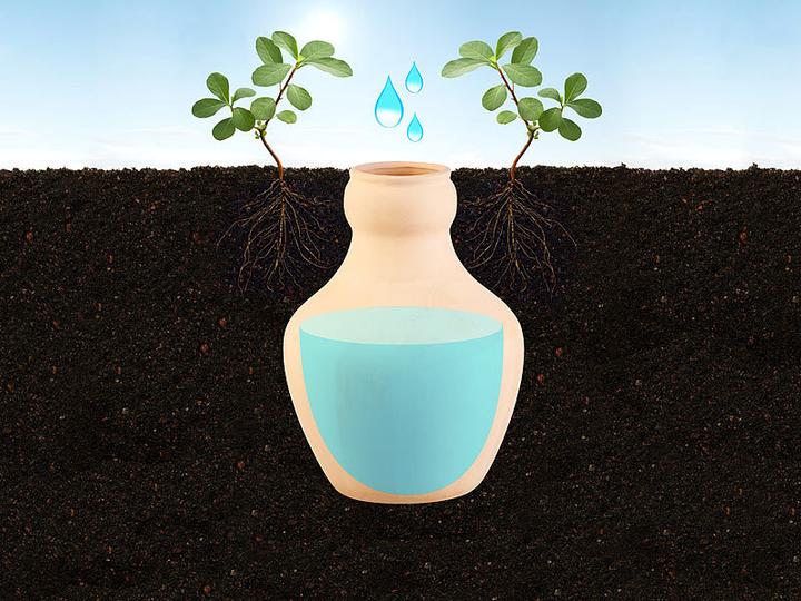 Immagine prodotto Royal Gardineer Set di 3 palline di terracotta per innaffiare le aiuole del giardino, 3 litri (Palline per l'irrigazione)