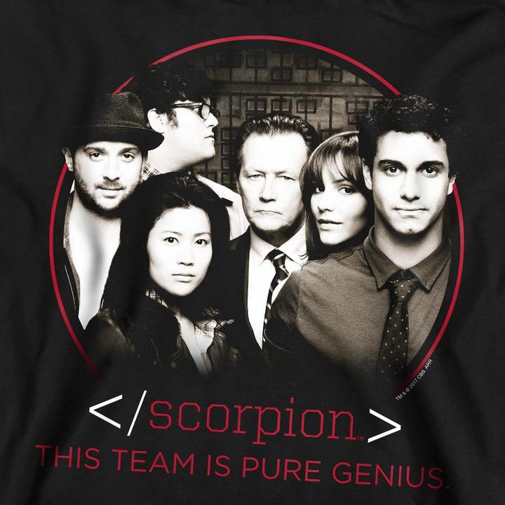 Produktbild Scorpion Sweatshirt (L)