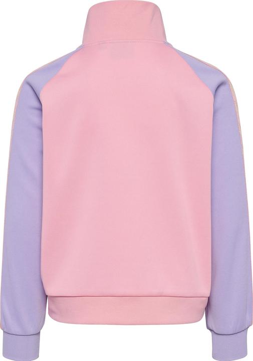 Actual product image hummel hmlDAILY ZIP JACKET (104)