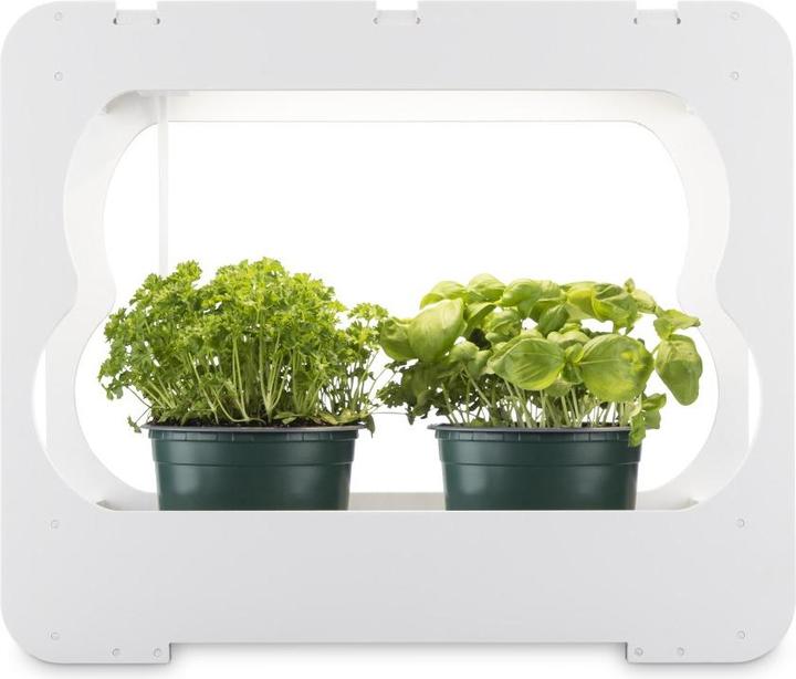 Actual product image Xavax Gewächsstation mit LED-Pflanzenlampe, ca. 3 Töpfe Ø 10 cm, Vollspektrum-LED (LED)