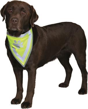 Produktbild Trixie Safer Life Halstuch (XS, S, Hundehalstuch)