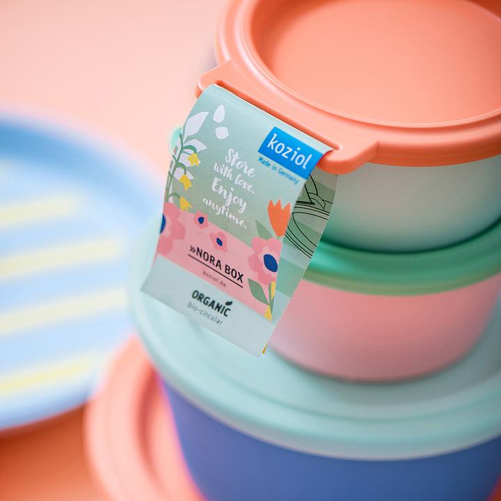 Productafbeelding Koziol Schaal Nora Box 18,8 cm, 1 stuk, Sweet Green/Strong Blue (18.80 cm, 1.30 l, 1 x)