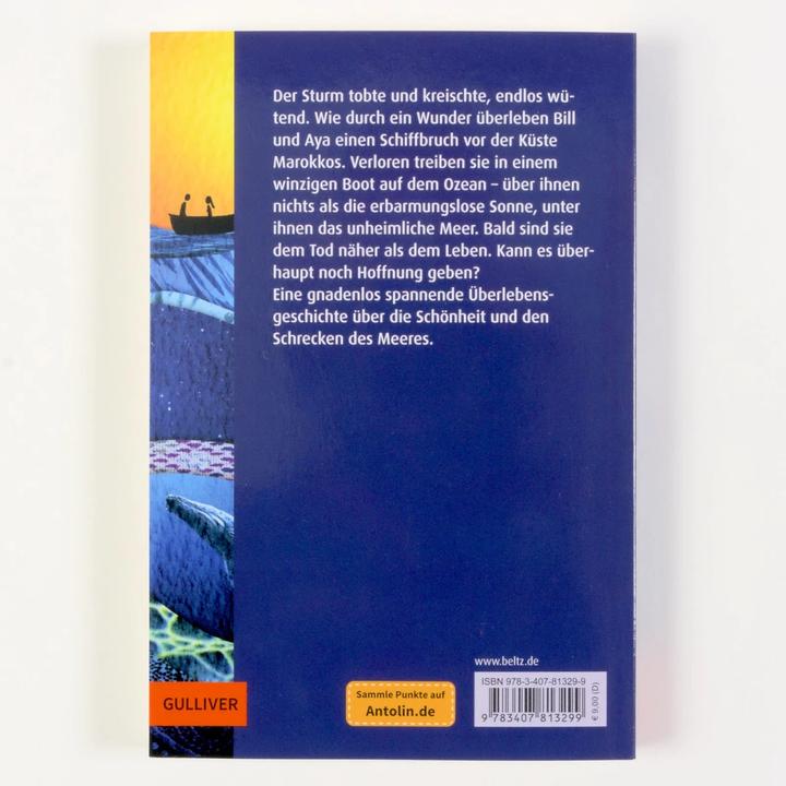 Immagine prodotto Allein auf dem Meer (Tedesco, Chris Vick, Andrea Wandel, Amico di Wieland, 2023)