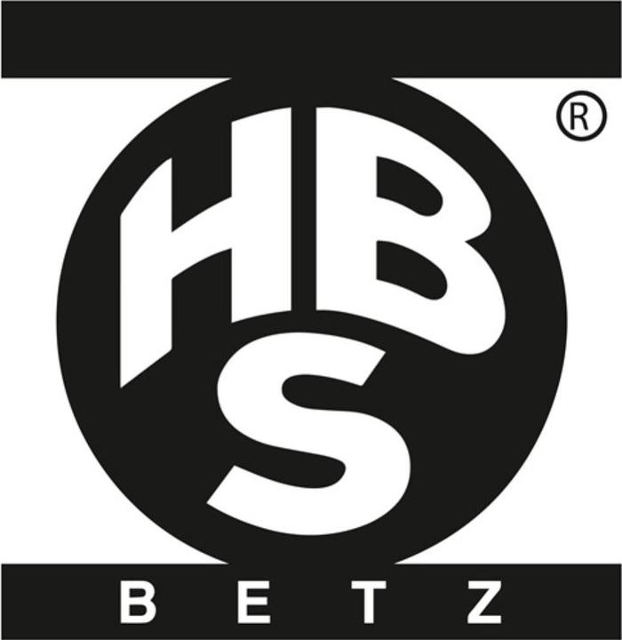 Actual product image HBS Betz Sliding gate roller 60 mm steel galvanised 30 kg 6/8 mm