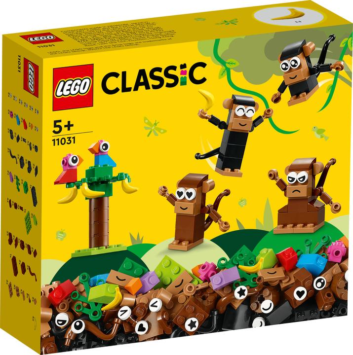 Produktbild LEGO Affen Kreativ-Bauset (11031, LEGO Classic)
