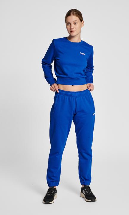 Actual product image hummel Lgc Shai Short Sweatshirt (L)
