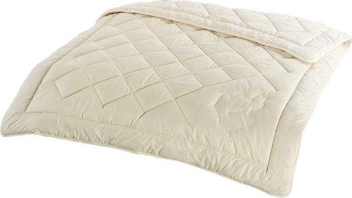 Immagine prodotto Trapunta Duo (1150 g, 135x200 cm)