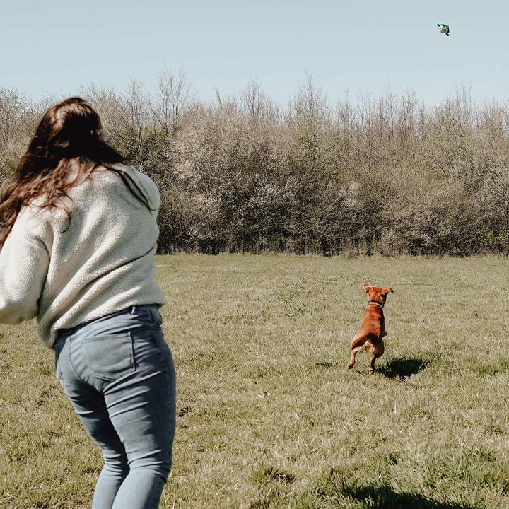 Image du produit Hunter Toy Flingerz Splash Turtle - (401673969524) (Jouet à mâcher pour chien, Apporter)