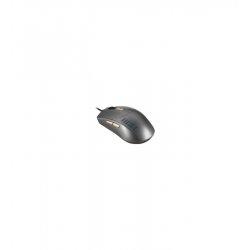Actual product image MSI M31 (Cable)