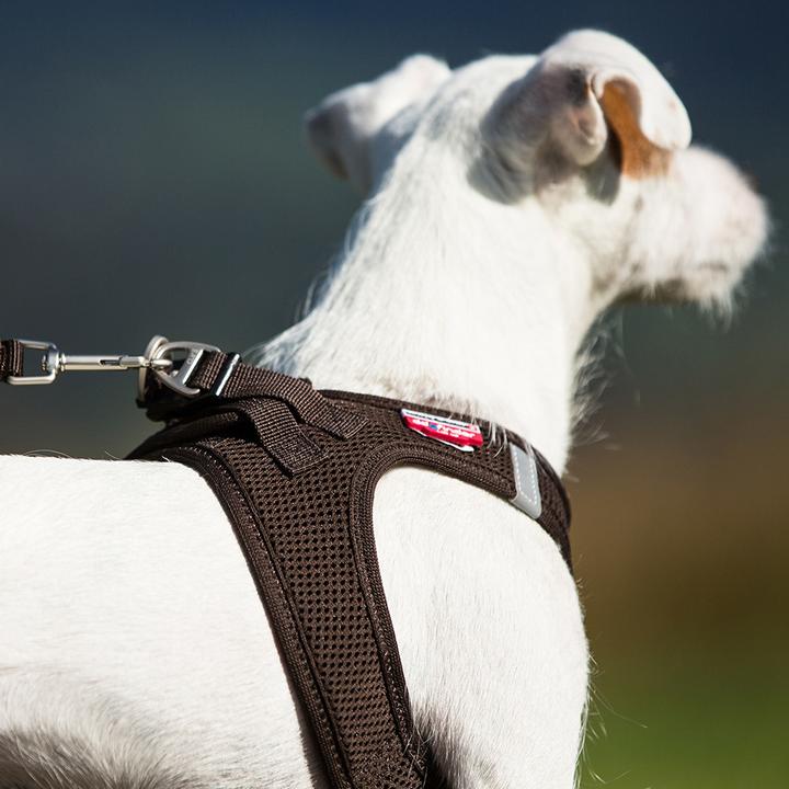 Actual product image Curli Harness Vest Air-Mesh M, Moss (M, Dog, General)