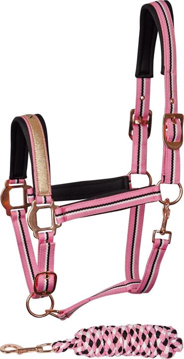 Harry's Horse Mare