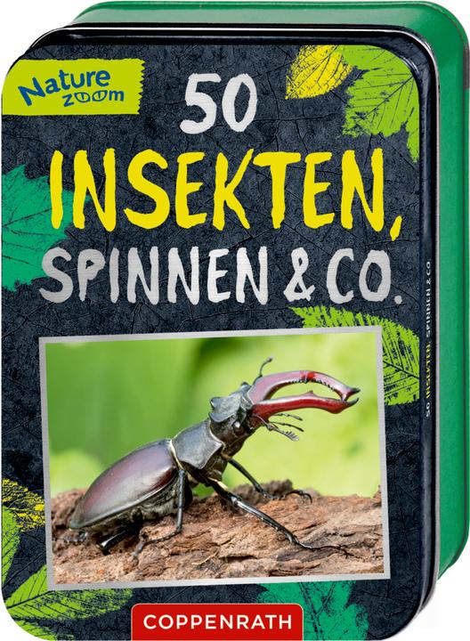 Actual product image Die Spiegelburg 50 Insects, spiders & co.