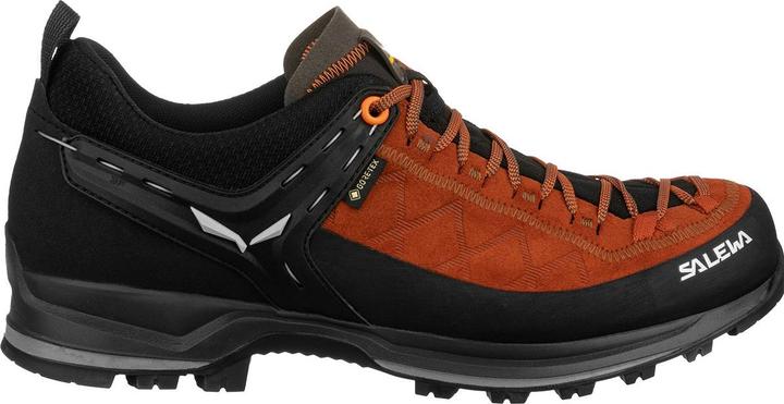 Actual product image Salewa Mountain Trainer 2 GORE-TEX® schuhe (44.5)