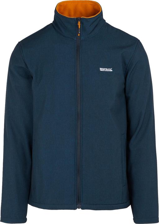 Volpe screziata, Blu marino