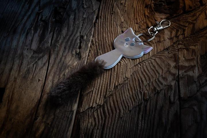 Image du produit Softreflector Pendentif Réflecteur Chat Albert