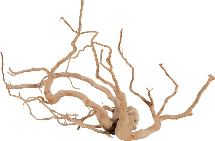 Zolux japanese root spider wood jumbo (Wurzeln, sonstige Gegenstände)
