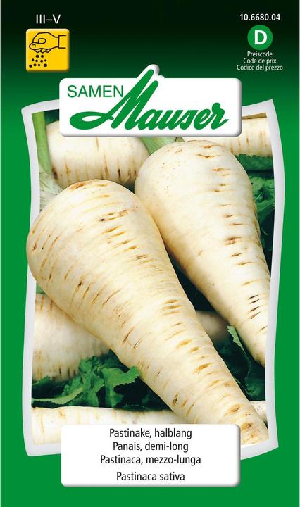 Produktbild Samen Mauser Pastinake, halblang (Gemüsesamen)