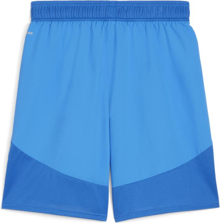 Image du produit Puma Short teamFINAL (3XL)
