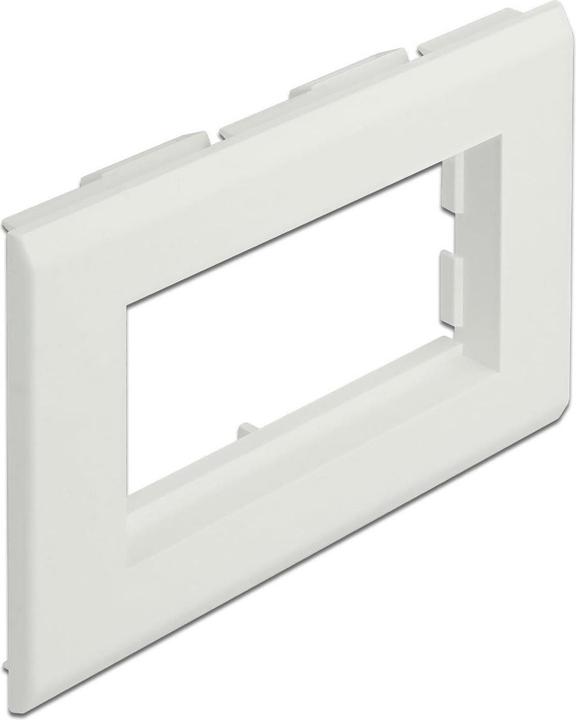 Delock Support de module Easy 45 pour canal de montage d'appareils 130 x 80 mm (13 cm)
