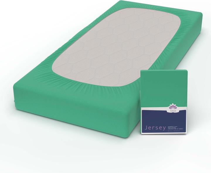 Immagine prodotto Lotus Bettwaren Jersey Fix Comfort (120 x 200 cm)