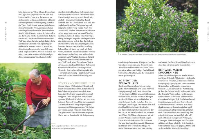 Produktbild Unsere grüne Kraft - das Heilwissen der Familie Storl (Deutsch, Christine Storl, 2019)