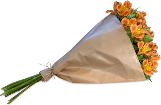 Actual product image Fleurop Bundle of orange Alstroemeria (Cut flowers)