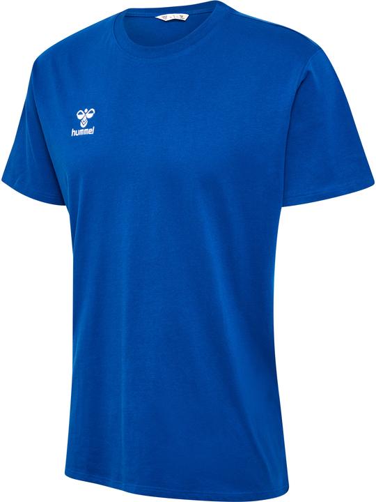 Trueblue