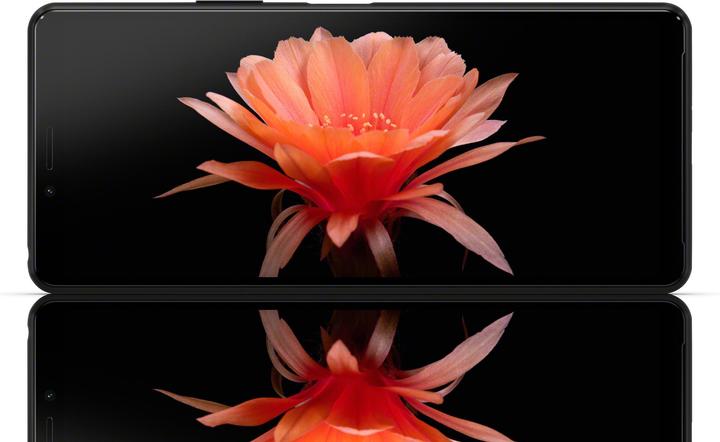 Actual product image Sony Xperia 10 II (128 GB, Black, 6", Hybrid Dual SIM, 12 Mpx, 4G)