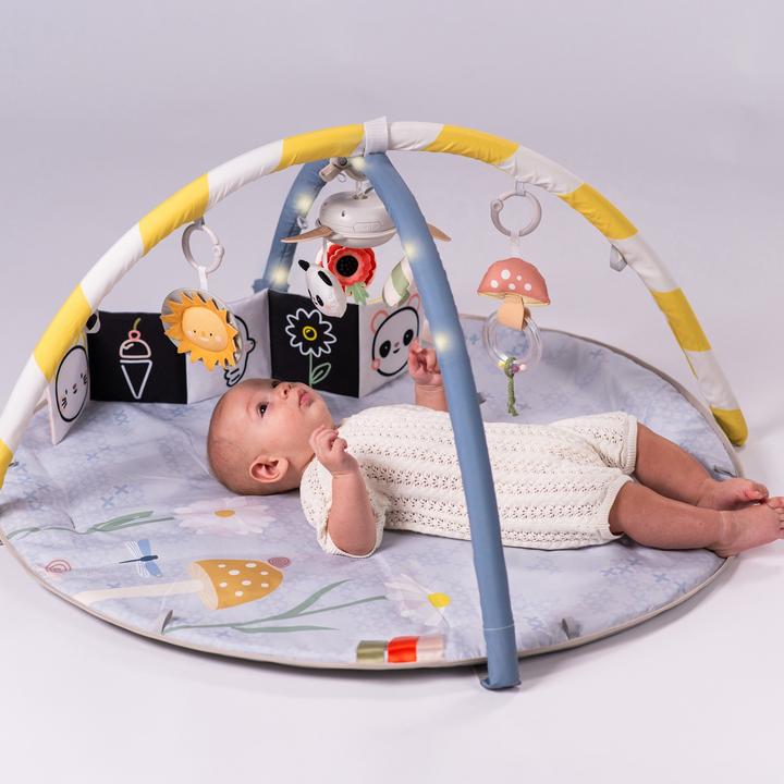 Produktbild Taf Toys Melody Bloom