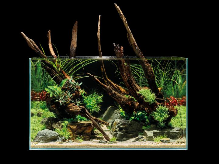 Immagine prodotto Oase Acquario ScaperLine 100, 250 l (250 l)