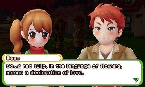 Actual product image Nintendo Harvest Moon: Skytree Village (3DS)